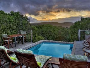 HillsNek Safari Camp – Amakhala Game Reserve