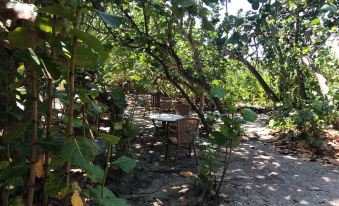 Migdalia Varadero Room for Rent