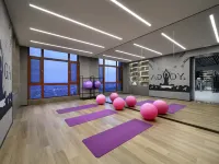 Novotel Jinniu Hotel - Gym