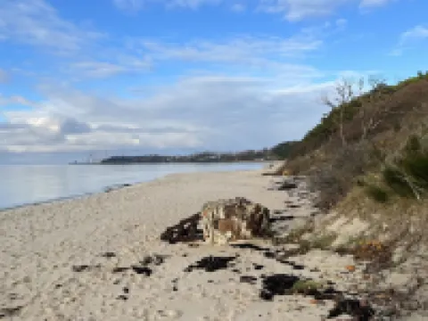 "Lucie" - 50m from the Sea