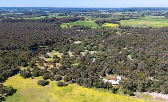 Forest Rise Chalets and Lodge