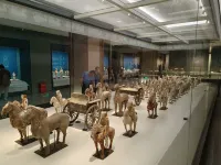 Liuyuan Homestay (Qingzhou Ancient City Branch)