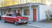 Wittrup Motel فنادق في Brondby