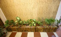 Hotel Cecil Hotels in Kolkata