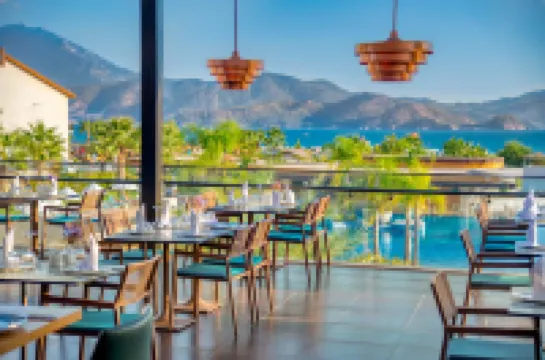 อัครา เฟทิเย ทุย บลู เซนซาทอรี รวมทุกอย่าง