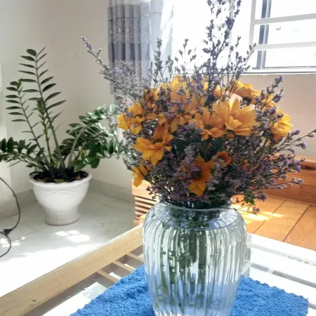 Thao Nguyen Homestay