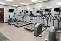 Holiday Inn CHICAGO OAKBROOK by IHG - Gym