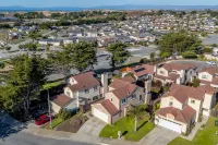 Succulents & Seashells Coastal Paradise by Beach Hotels near Vince DiMaggio Park