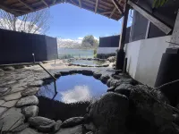 Hotel Lake Side Tsukuba - Hot Springs