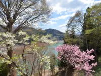 Kurayashiki Hotels in Minakami
