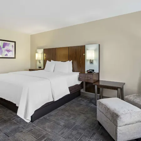 Best Western Plus Gen X Inn