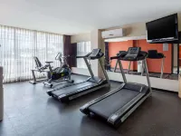 Comfort Inn San Luis Potosi Отели рядом с достопримечательностью «Арена «Эль-Домо»»