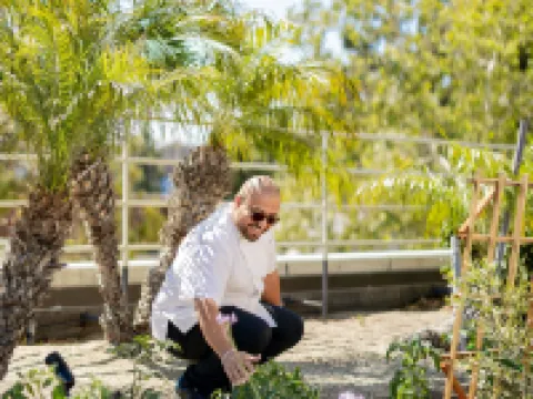 The Westin South Coast Plaza, Costa Mesa Hotels in Costa Mesa