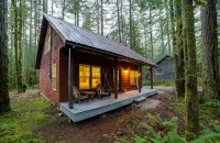 Glacier Springs Cabin 12 - Pet Friendly, Wifi, AC, Sleeps 4