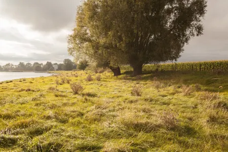 Apartment Gut Üselitz on Rügen - 1. Floor right Отели в г. Позериц