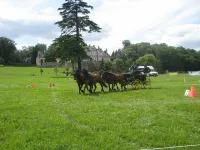 Traditional Normandy Cottage