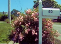 Easton's Beach House: Steps to the Beach. Last Summer Nights Available! - Kitchens