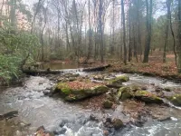 New cabin 1 mile from Blue Ridge Parkway. Minutes from Appalachian Trail - Wifi