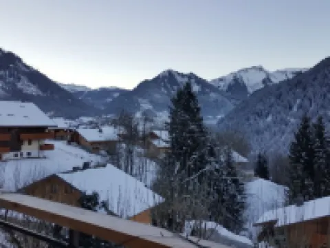 6-person apartment in a traditional chalet - Chatel Reservation 沙泰勒酒店