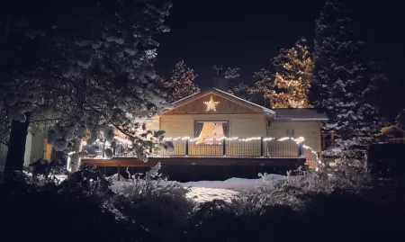 Charming Cabin In The Pines