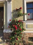Hiking and swimming: Cozy apartment in Joachimsthal