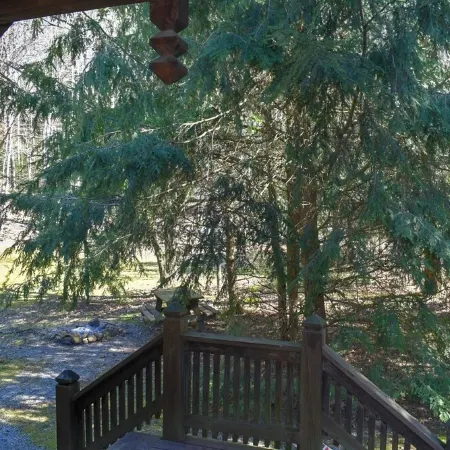 Country Cabin within minutes of the New River Gorge National Park & Preserve.