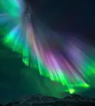 2 Bedroom 2 Bathroom Home Near Anchorage Golf Course and Zoo