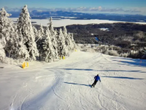 Adorable, updated condo. Walk to Weirs Beach. Near Bank of N.H.Pavilion. Hotels in Laconia