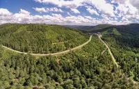 Cosy holiday flat in the Black Forest - near Baden-Baden. Pet friendly! Hotels in Gaggenau