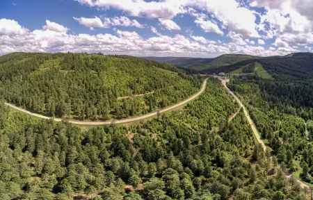 Cosy holiday flat in the Black Forest - near Baden-Baden. Pet friendly!