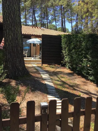 Cottage in the Heart of the Pines