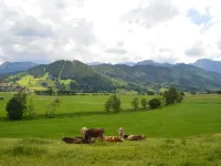 Apartment with panoramic views Hotels in Halblech