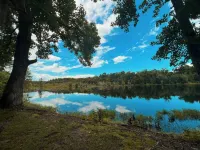 Creekside Country Cottage- minutes away from I-95
