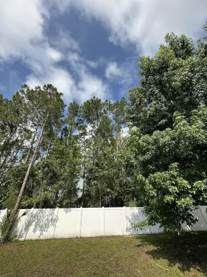 Tranquility Home Near  Historical Flagler Beach Отели рядом с достопримечательностью «Палм Коуст Ландинг»