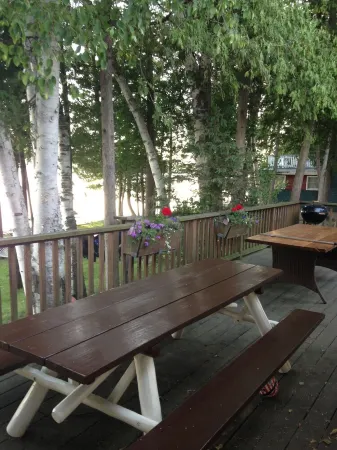 Awesome Deer Lake Cottage 5 Minutes from Boyne City for Family Fun!
