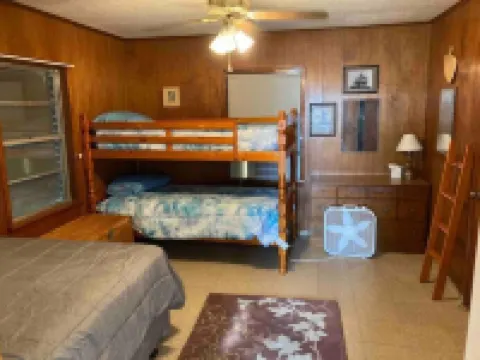 Blue Heron 2/1 Near the Boat Ramp