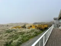 Ocean Front ON the Beach - 14 Minutes to Bandon Dunes Golf! Spectacular Views! - 4성급