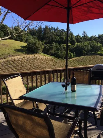 ✨Rustic Cabin in Dry Creek Valley with beautiful views // 5 miles to Plaza ✨