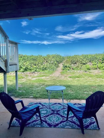 49 Steps to the Beach! Hutchinson Island 2BED/2BATHRenovated