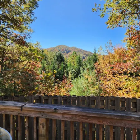 Ridgetop Retreat with Mountain View & Hot Tub! Unit 3 BrysonCity! GSMR!