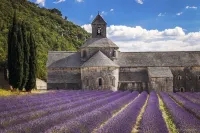 Village house 17th with swimming pool, Luberon Provence TARIFS CASSES SEPT. OCT. Hotels in Robion