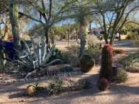 Historic Sam Hughes Charmer. Private yard w fruit trees. Walk to UA. Hotel in zona Reid Park