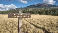 Tiny house on the prairie with mountain views.