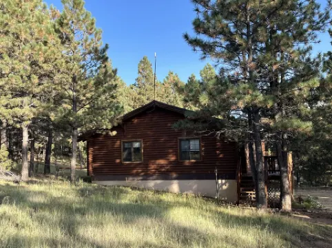 Cozy cabin in the woods. 12 min from the Angel Fire ski resort; 6 to golf course