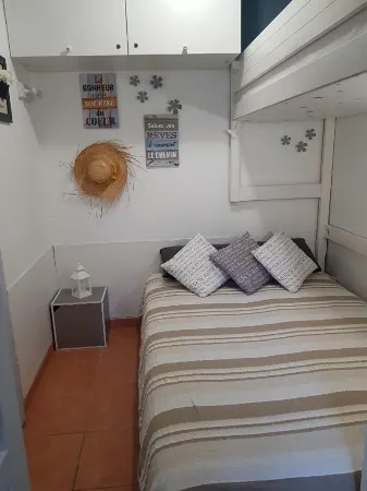 Superbe Appartement EN REZ DE Jardin DE 35 m² Avec Terrasse Arboree