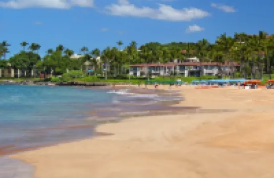 Wailea 1 Br Condo,  Close to Everything, Good Pricing