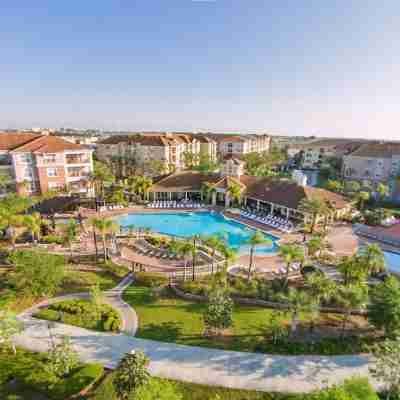 New Listing Beautiful Condo, Vista Cay - 3017 Rooms