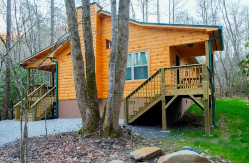 Log cabin nestled in the mountains and situated on Collett Creek