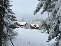 Cozy Adirondack Ski Cabin Hotels in Jay