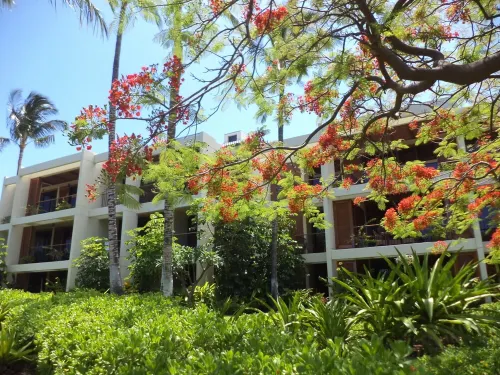 2 Bedroom Condo @ Mauna Lani, Ocean Views, walk to Hotel & beach. Open Sept-Oct